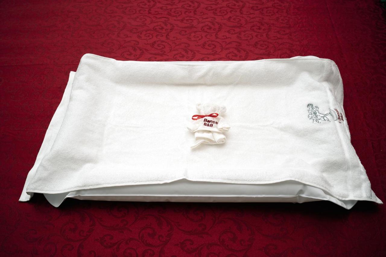 Bed and breakfast Il Bonsai Roma